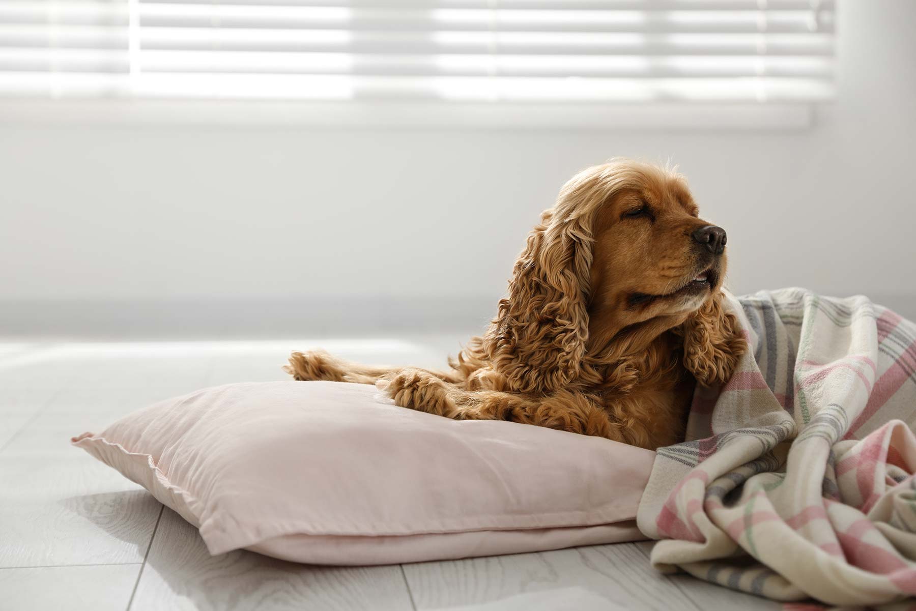 athens bc hotel coco mat hotels acropolis 1_gallery