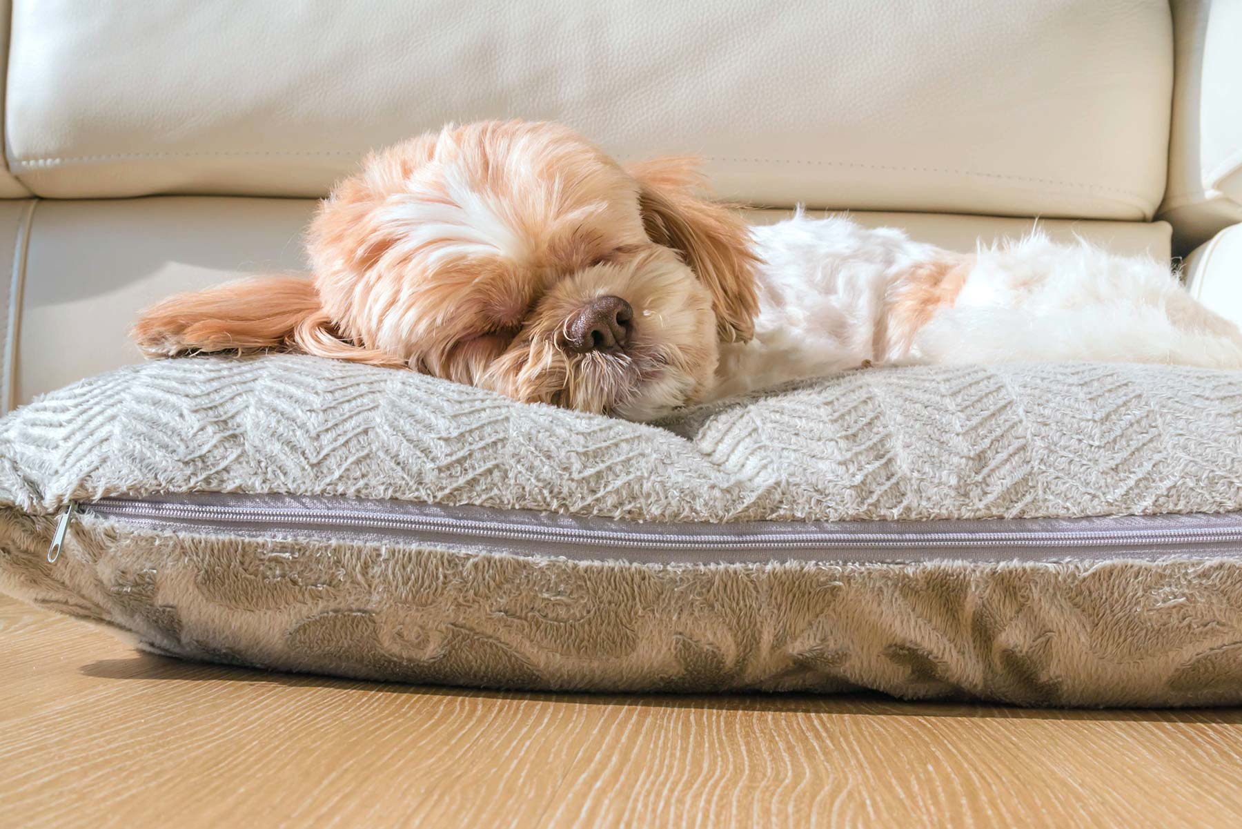 athens bc hotel coco mat hotels acropolis 2_gallery