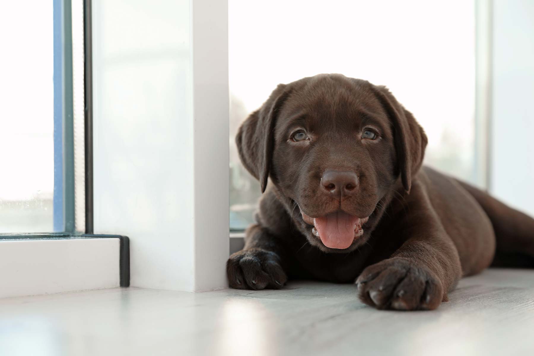 athens bc hotel coco mat hotels acropolis 3_gallery