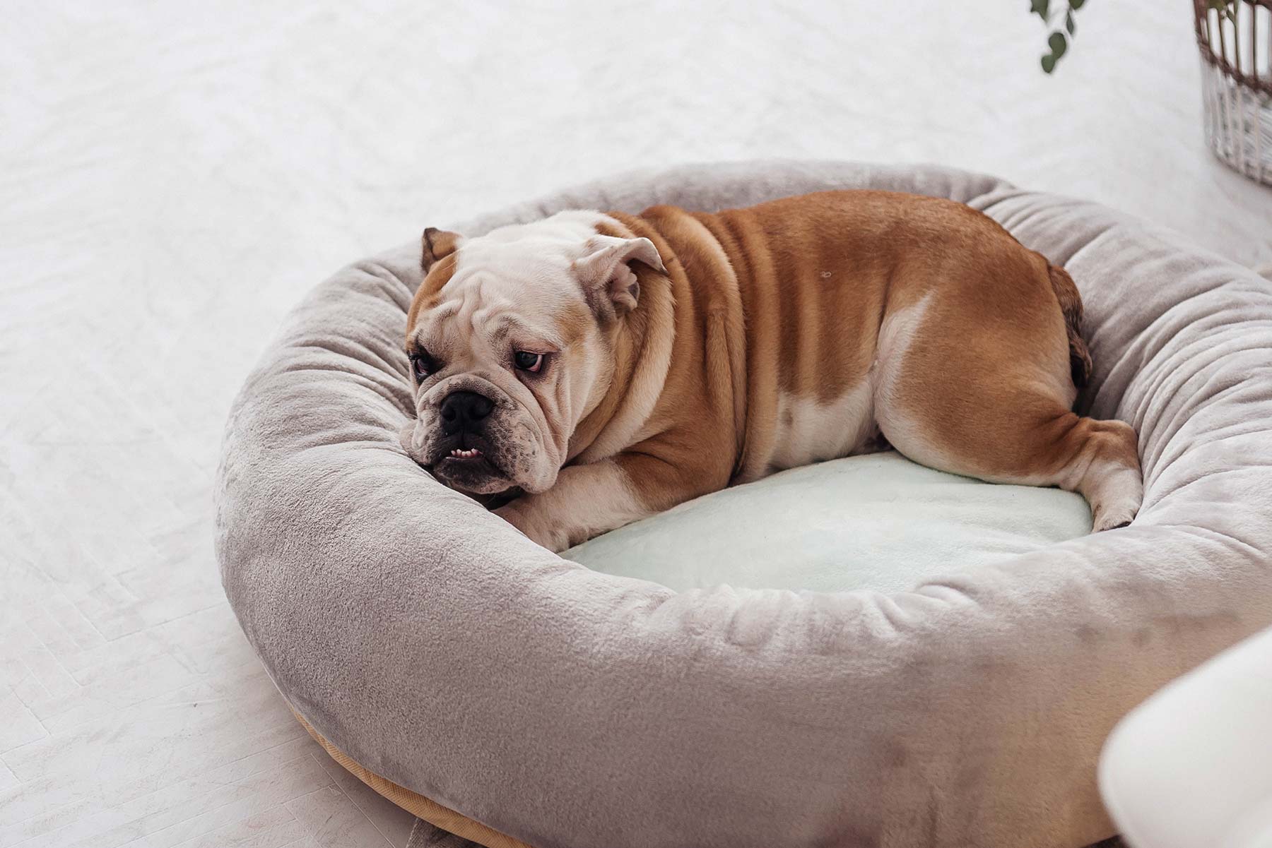 athens bc hotel coco mat hotels acropolis 1_slider